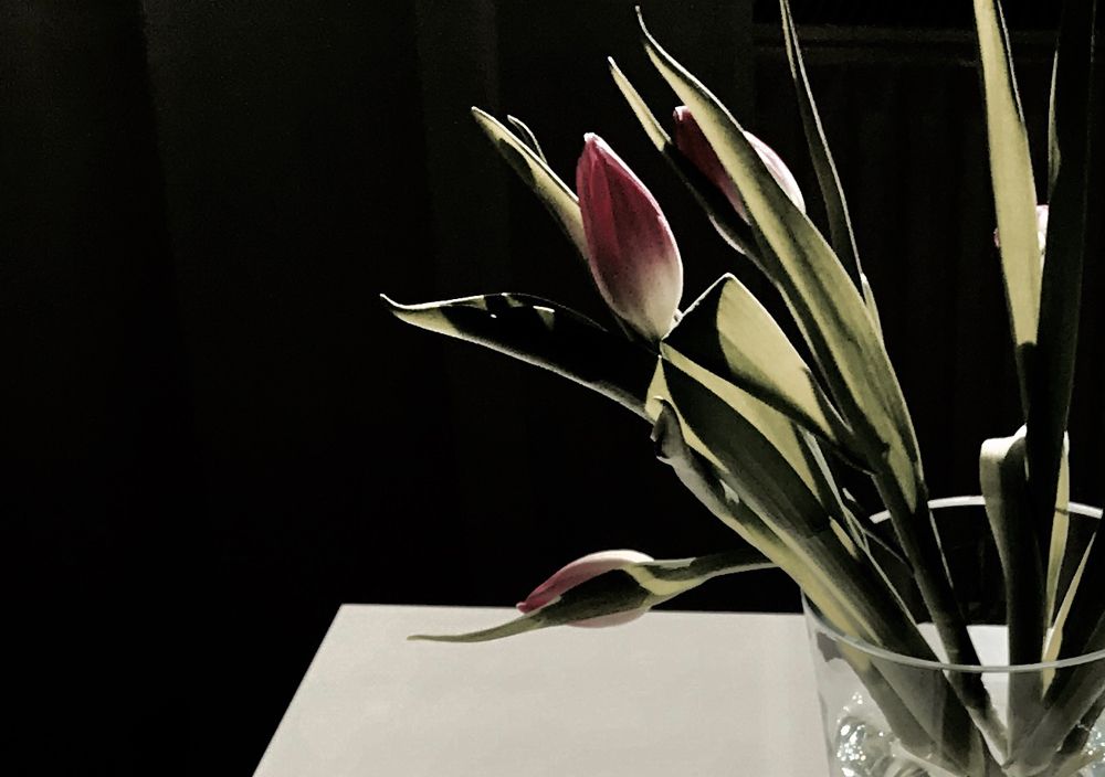Blumen5 copy.jpg