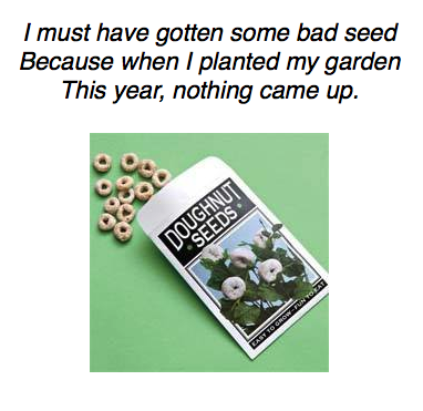 Donut Seeds.png