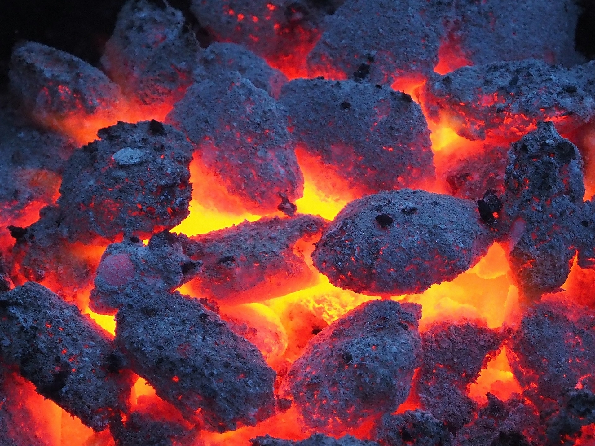 barbecue-386602_1920.jpg