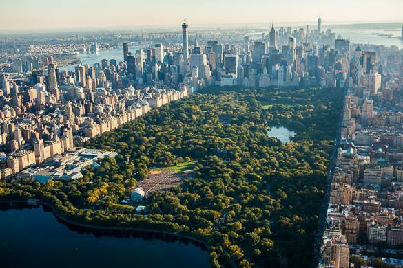Apartments-new-york-personality-types-Central-Park-Manhattan-skyline-NYC.jpg