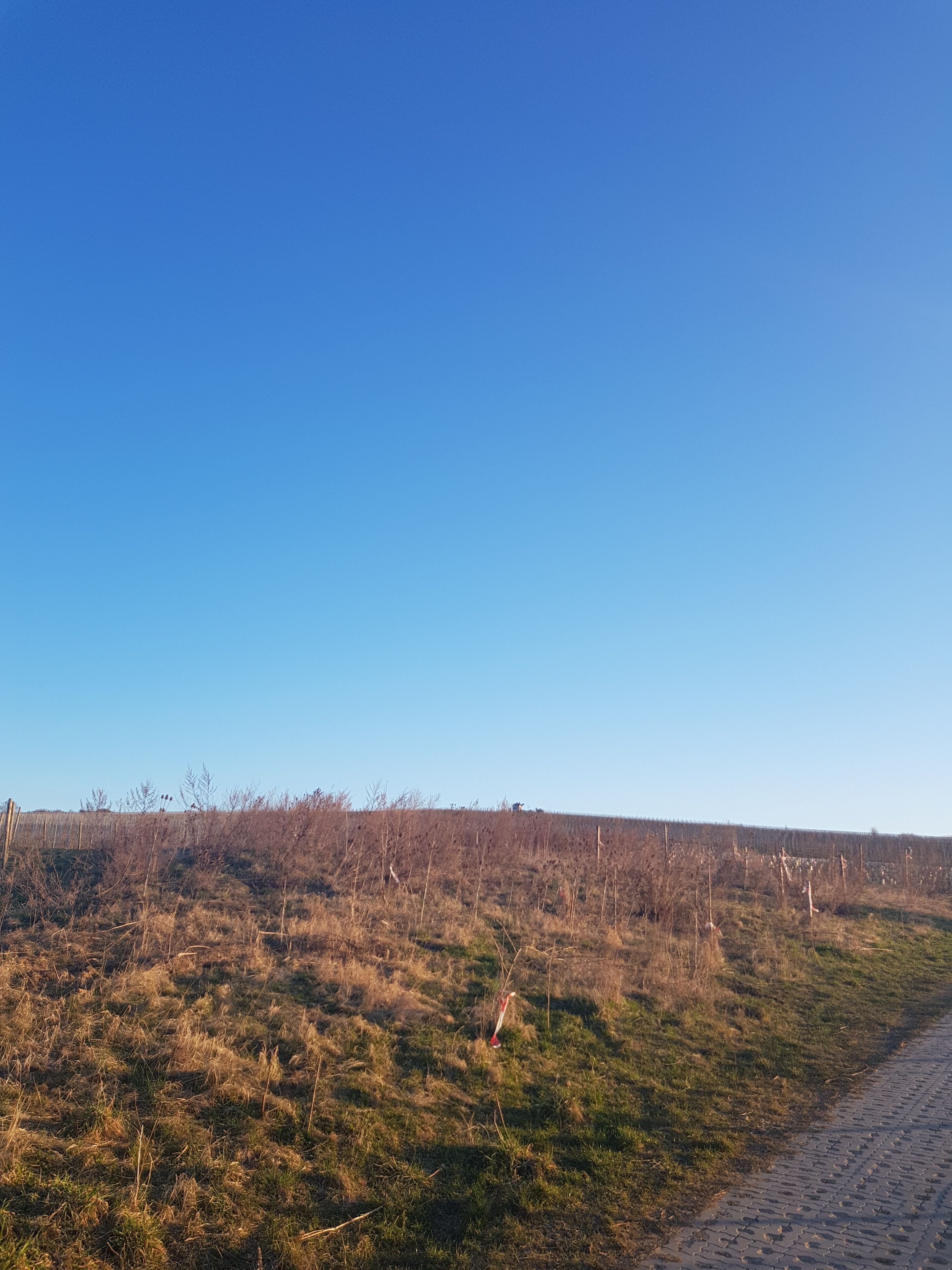 20180321_070618.jpg