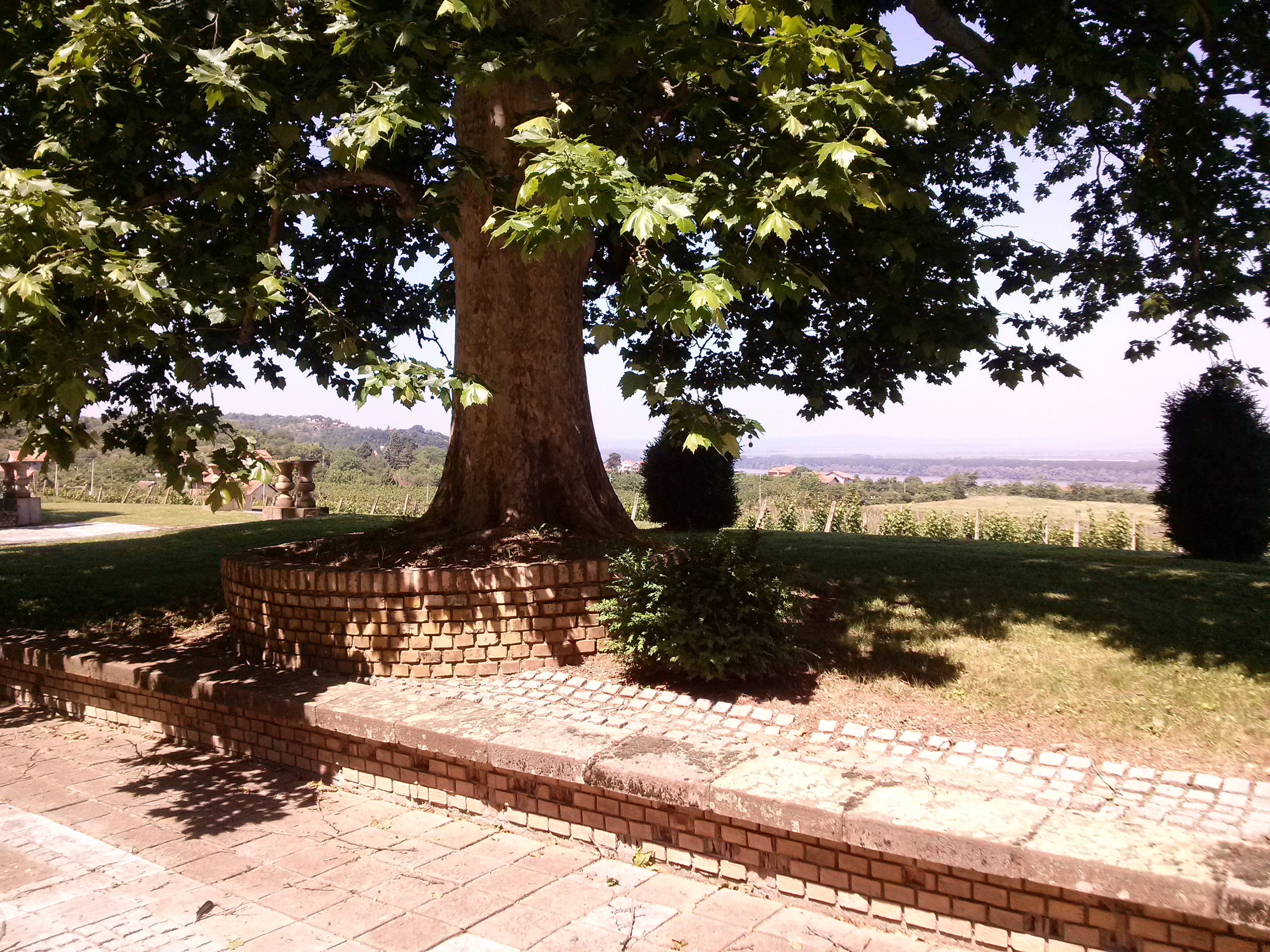 CAM01177.jpg