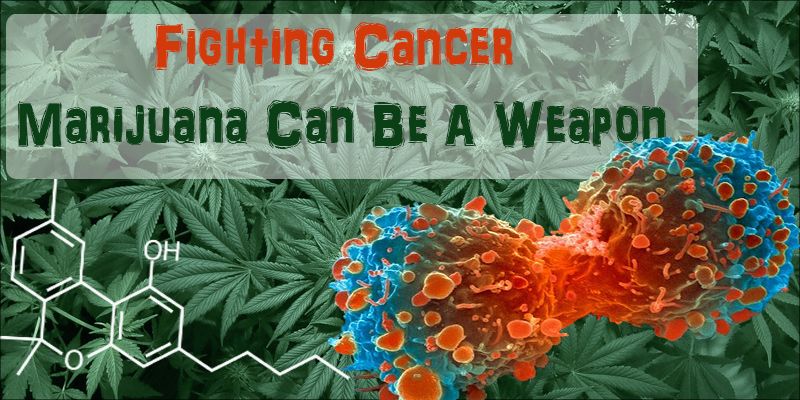 Fighting Cancer, Marijuana Can Be A Weapon.jpg