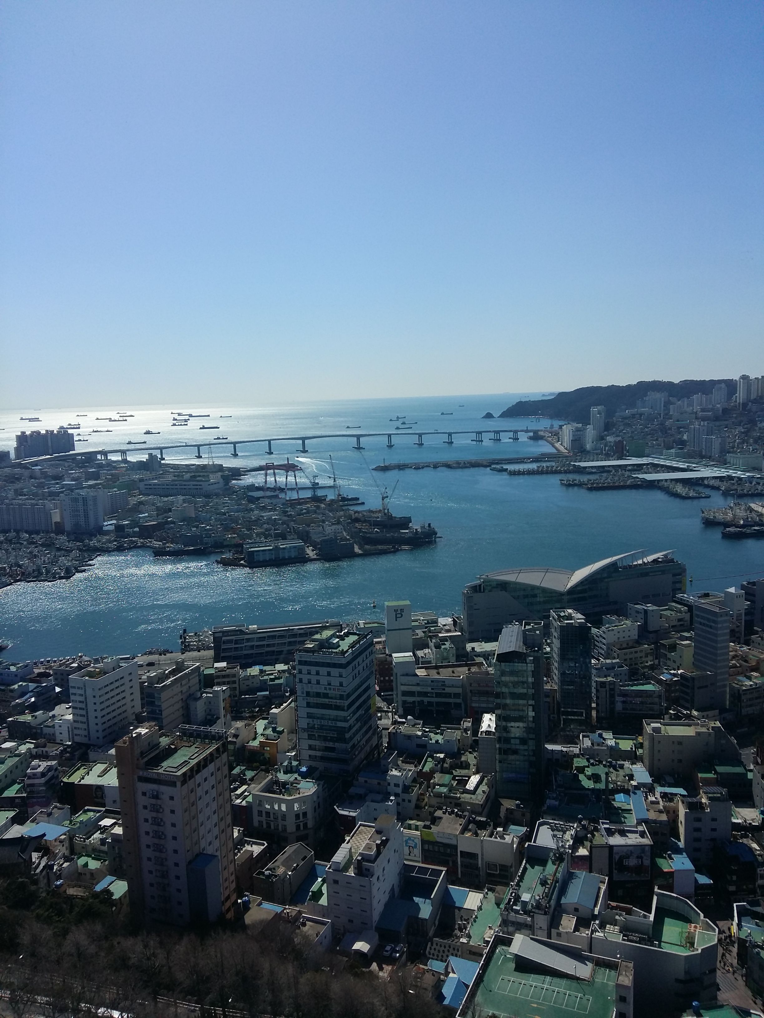20180217_120343.jpg