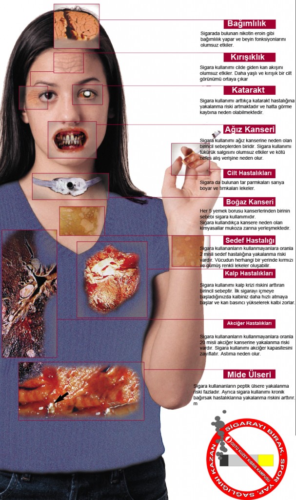 sigaranin-organlara-zararlari.jpg