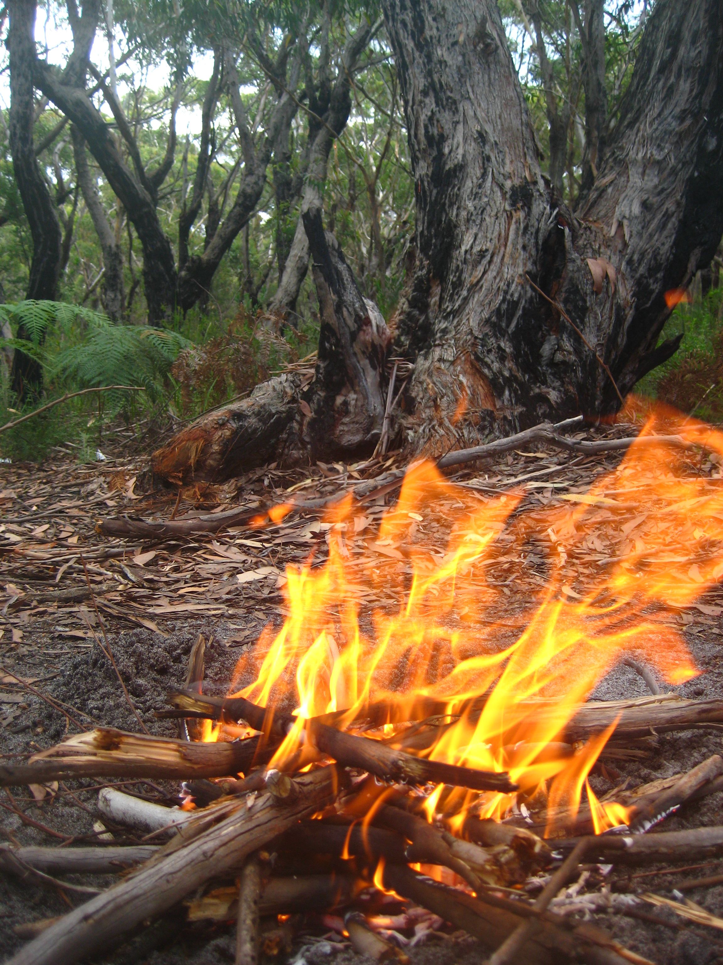 daydreams4rock n miki 872.JPG