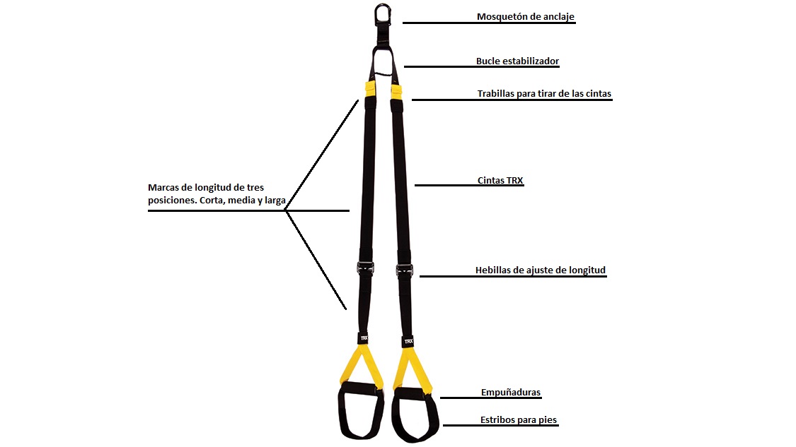 trx-home-partes.jpg