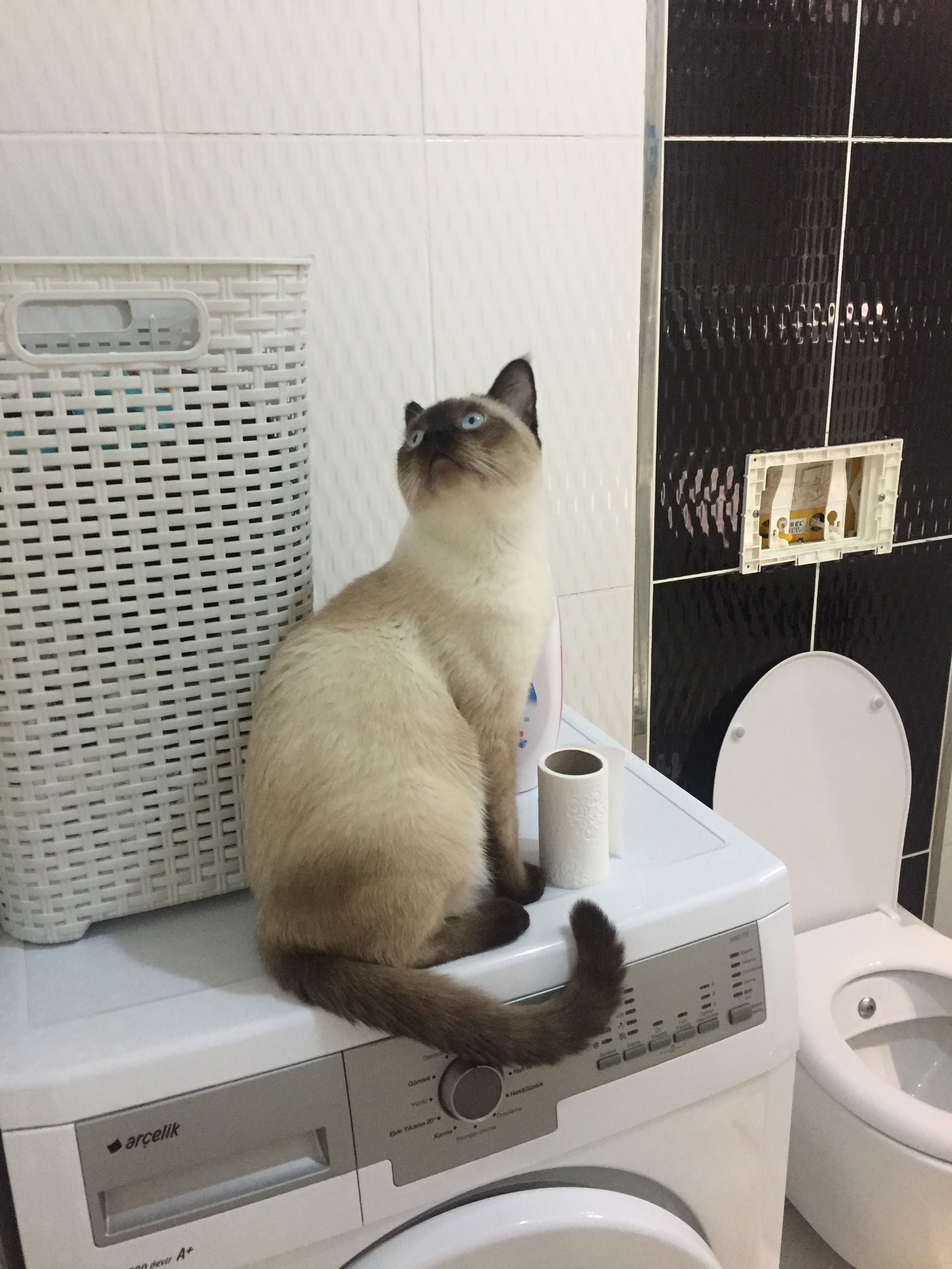 B0FDF845-901D-4BE2-9280-A9EE6C291A1E.jpeg