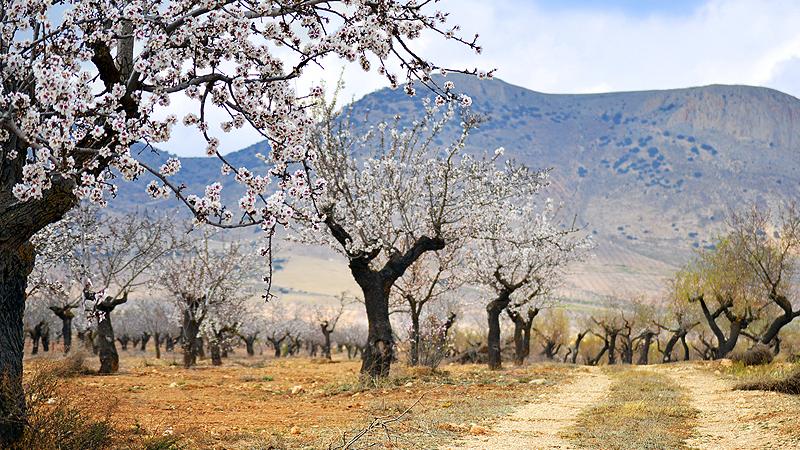 kosta-nieuws-andalusie-watervoorziening-1-502758462.jpg