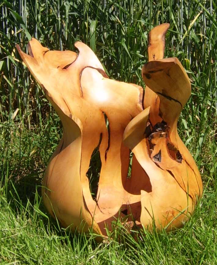 Birnbaumbirne_01.jpg