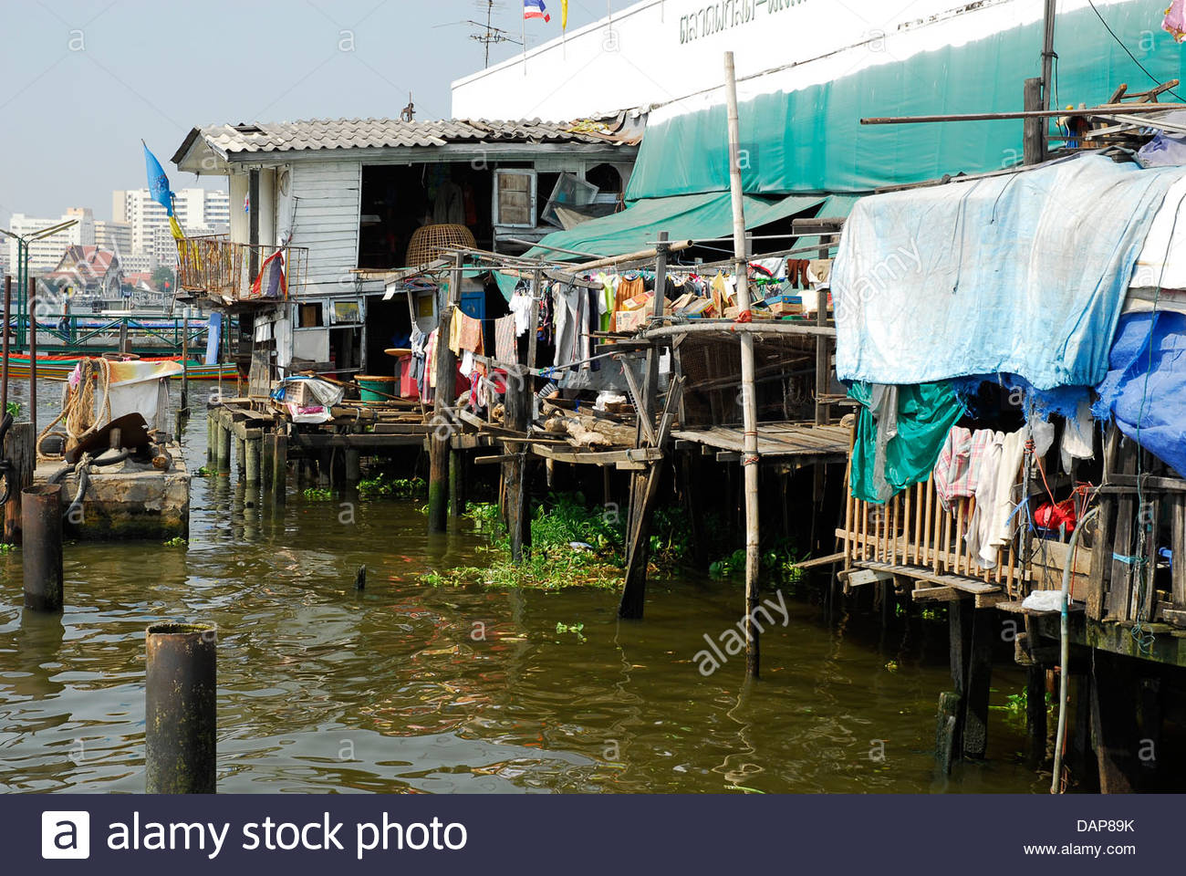 thailand-bangkok-poor-housing-at-chao-phraya-river-DAP89K.jpg