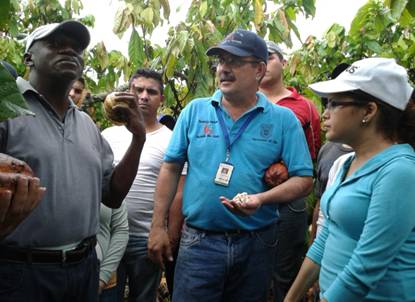 WERNER. CACAO. PRACTICA. DEFINITIVA.jpg
