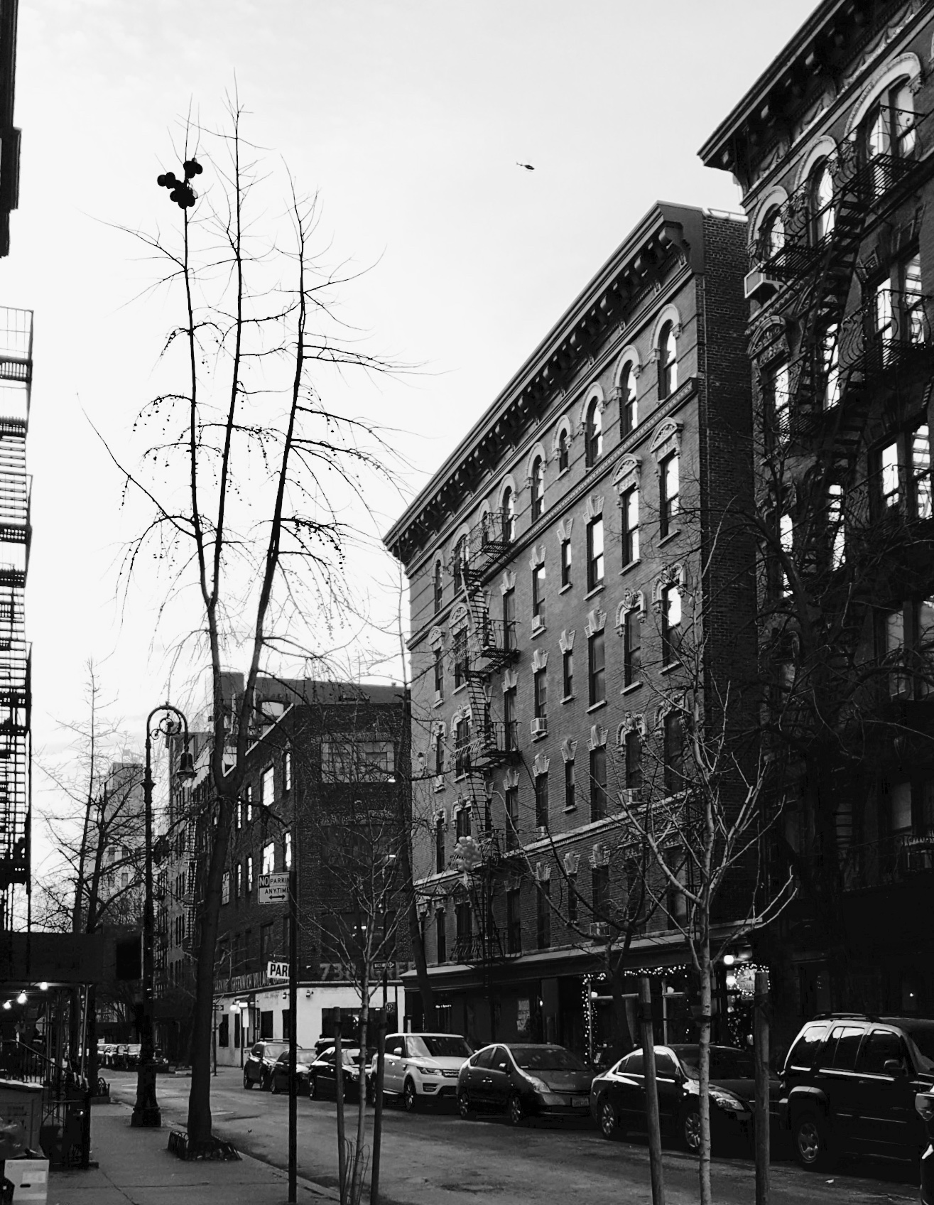 0612653B-F761-4538-8A89-16827E279282.jpeg
