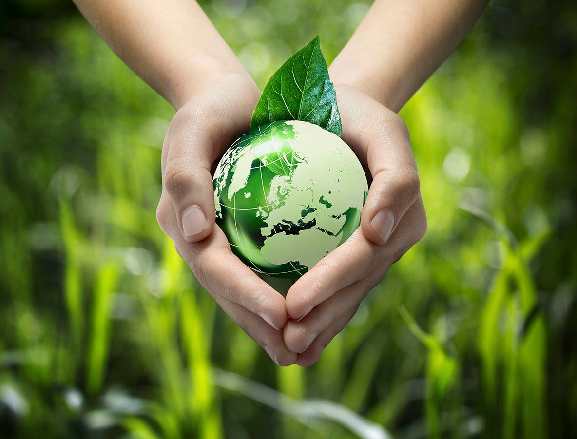 eco-friendly.jpg