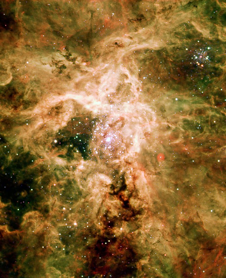 Supernova-Remnant-NGC-2060-777x952.jpg