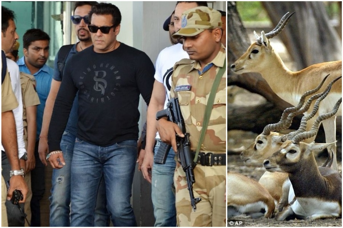 Salman-Khan-facing-up-to-six-years-in-jail-for-killing-rare-antelope-lailasnews-4.jpg