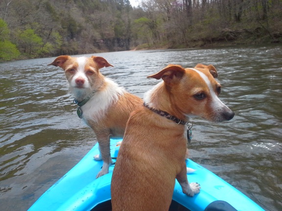 20150412_123942.jpg