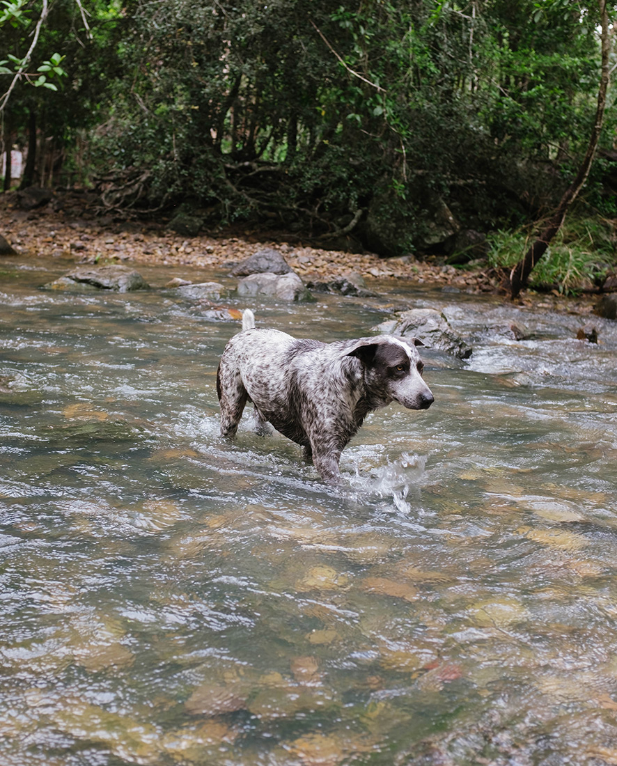 waterfall14.jpg