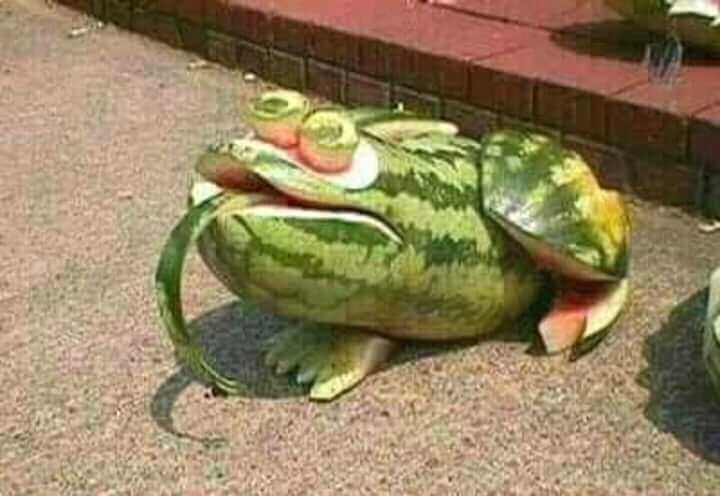 frog.jpg