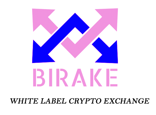 birake2.1.png