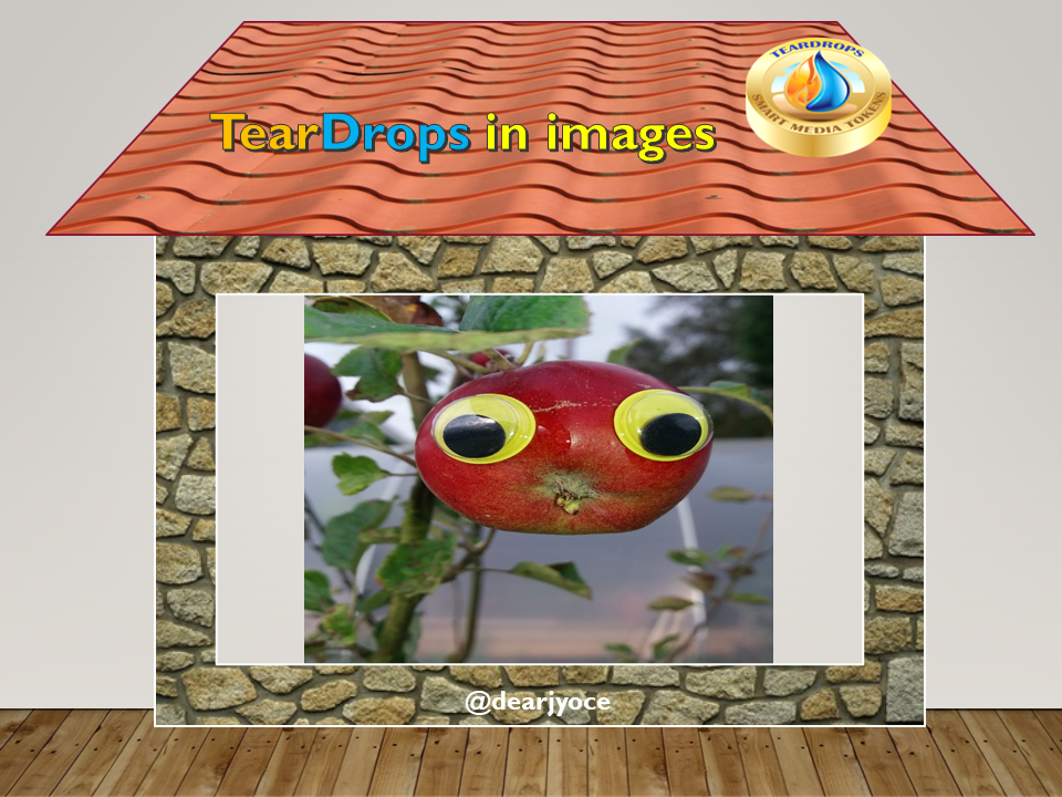 40j.png