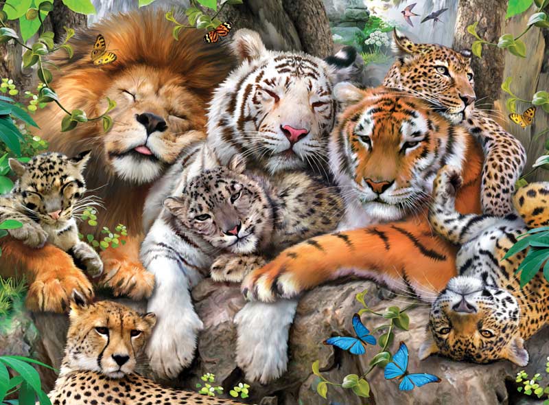 cats all big cat family.jpg