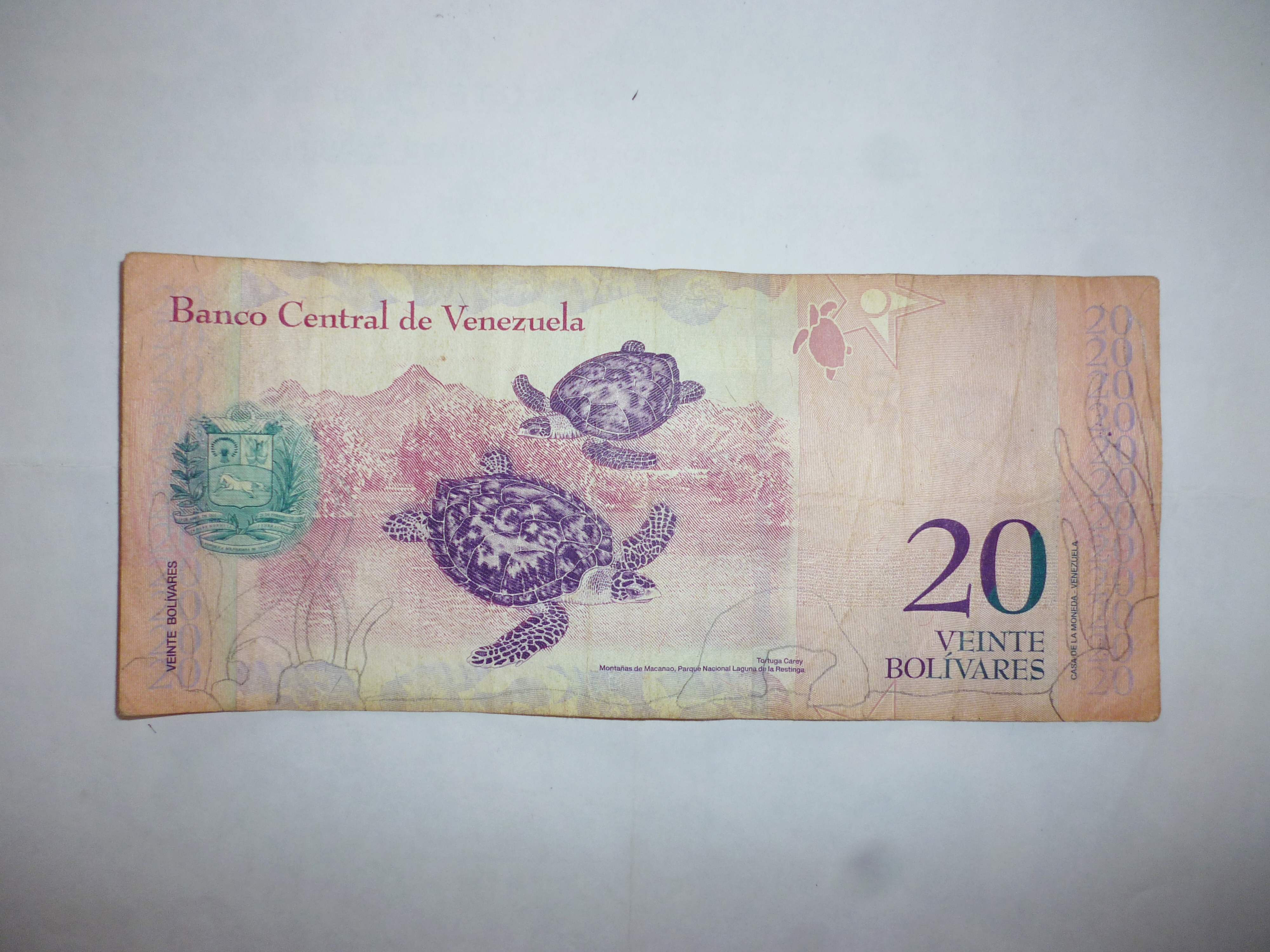 billete2.JPG