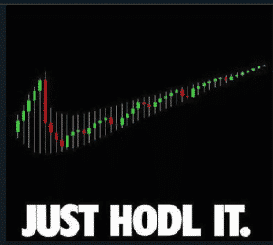 Hodl-source-crypto-memes-300x269.png