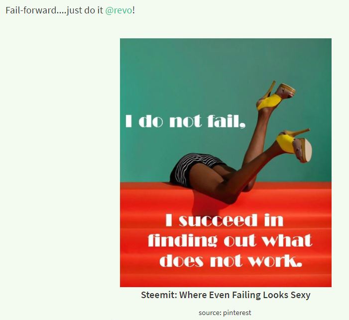 @revo - fail forward.JPG