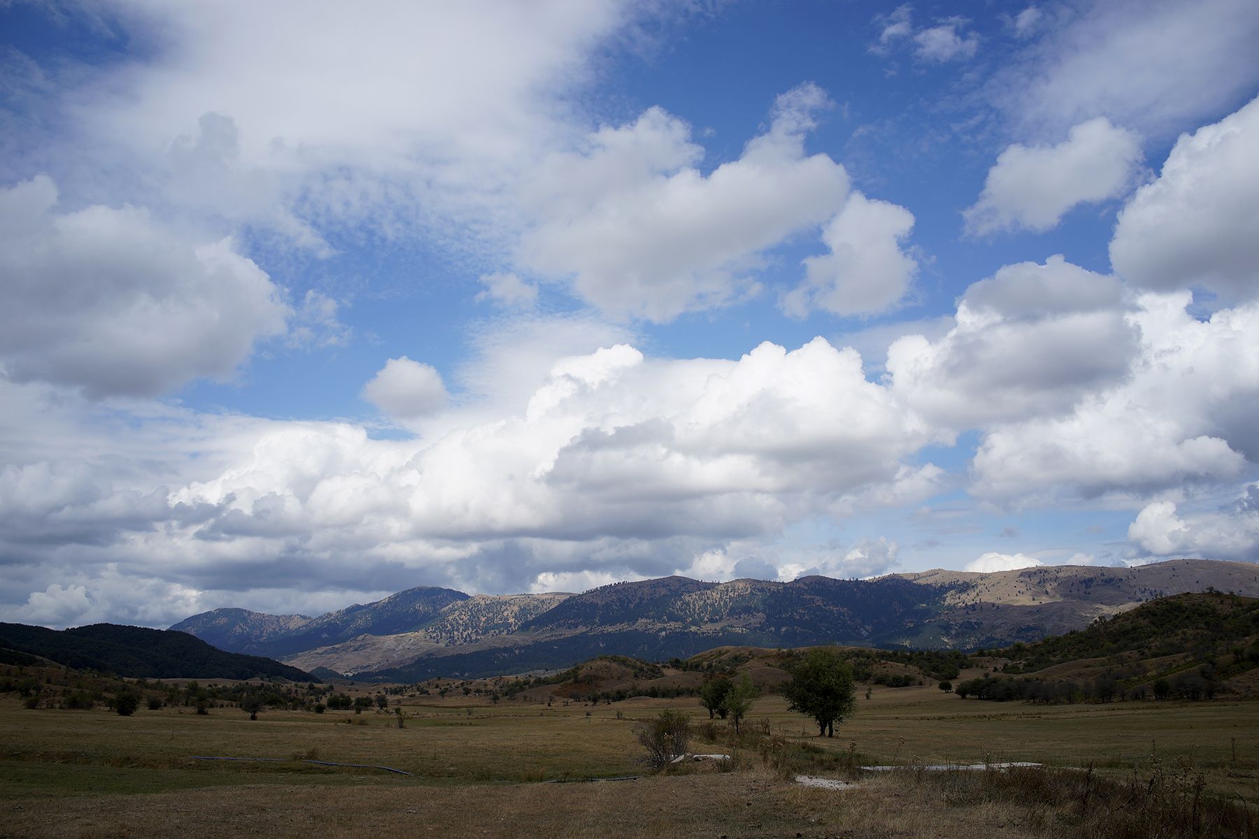 DSC09669.JPG