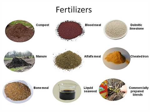 White Swan Homes and Gardens_ FERTILIZERS - WHAT ARE THEY ___.jpg