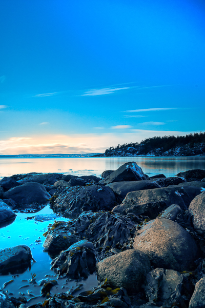 IMG_1519-Edit-Edit-Edit.jpg