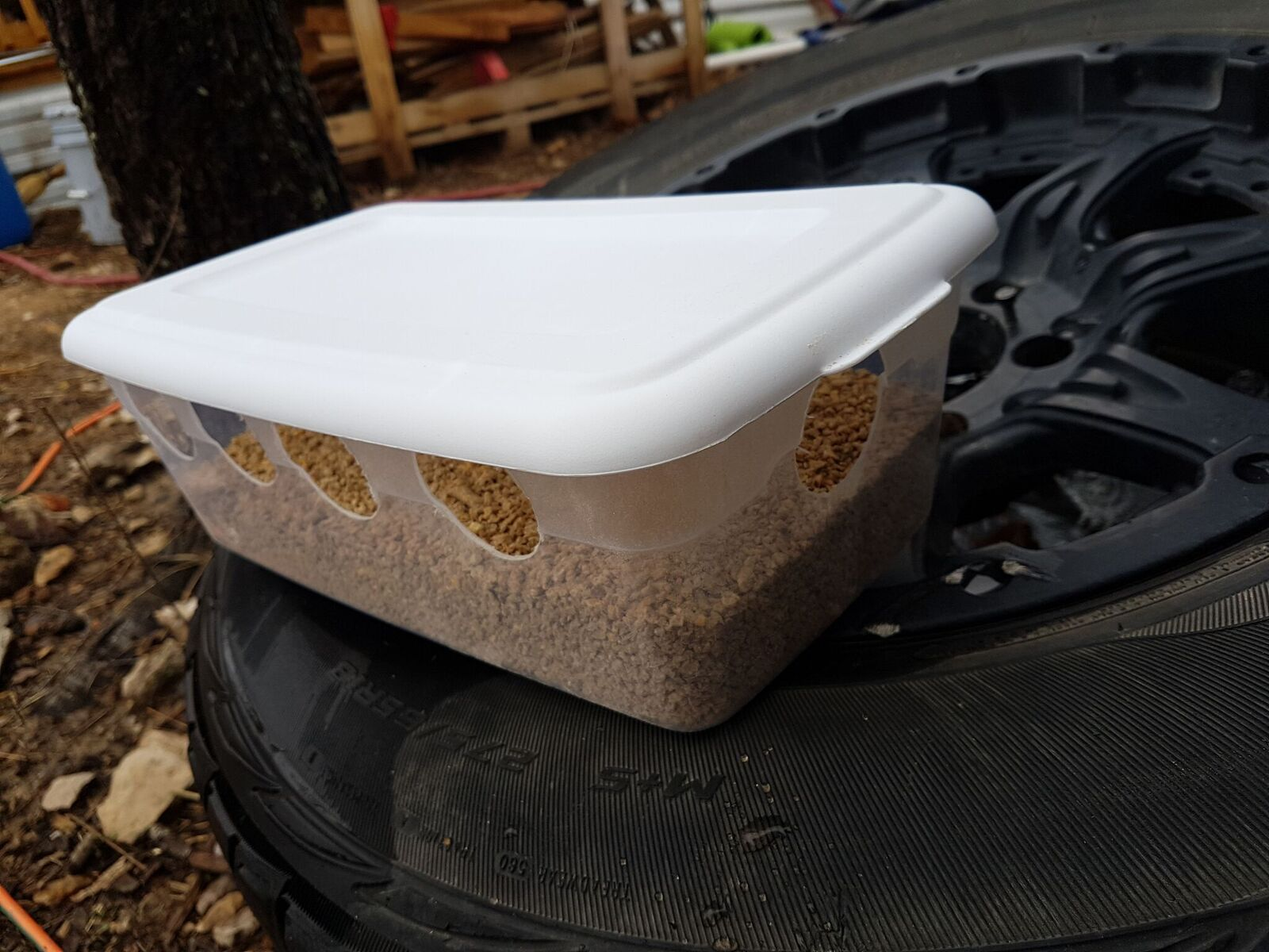 How To Build A Low Waste Quail Feeder Steemit