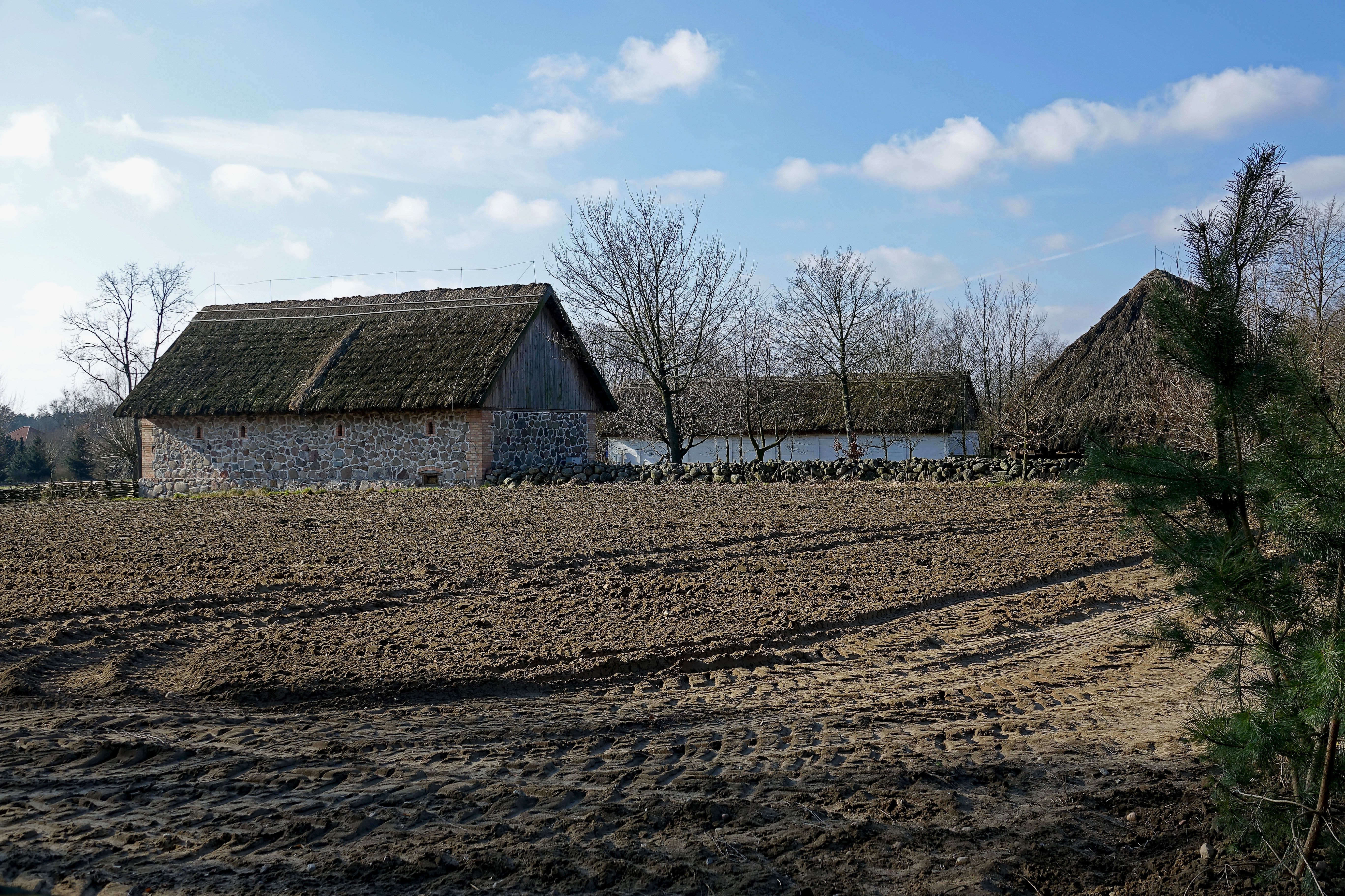 DSC01744.JPG