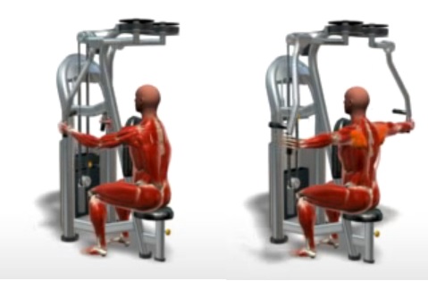 machine-reverse-fly-exercise.jpg