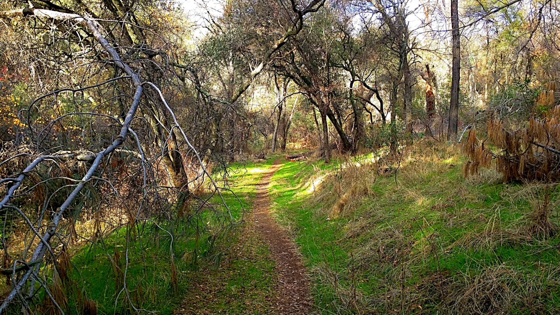 IMG_20171124_152254-walking-trail-behind-the-lake.#123.jpg