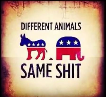 s o s different animals.JPG