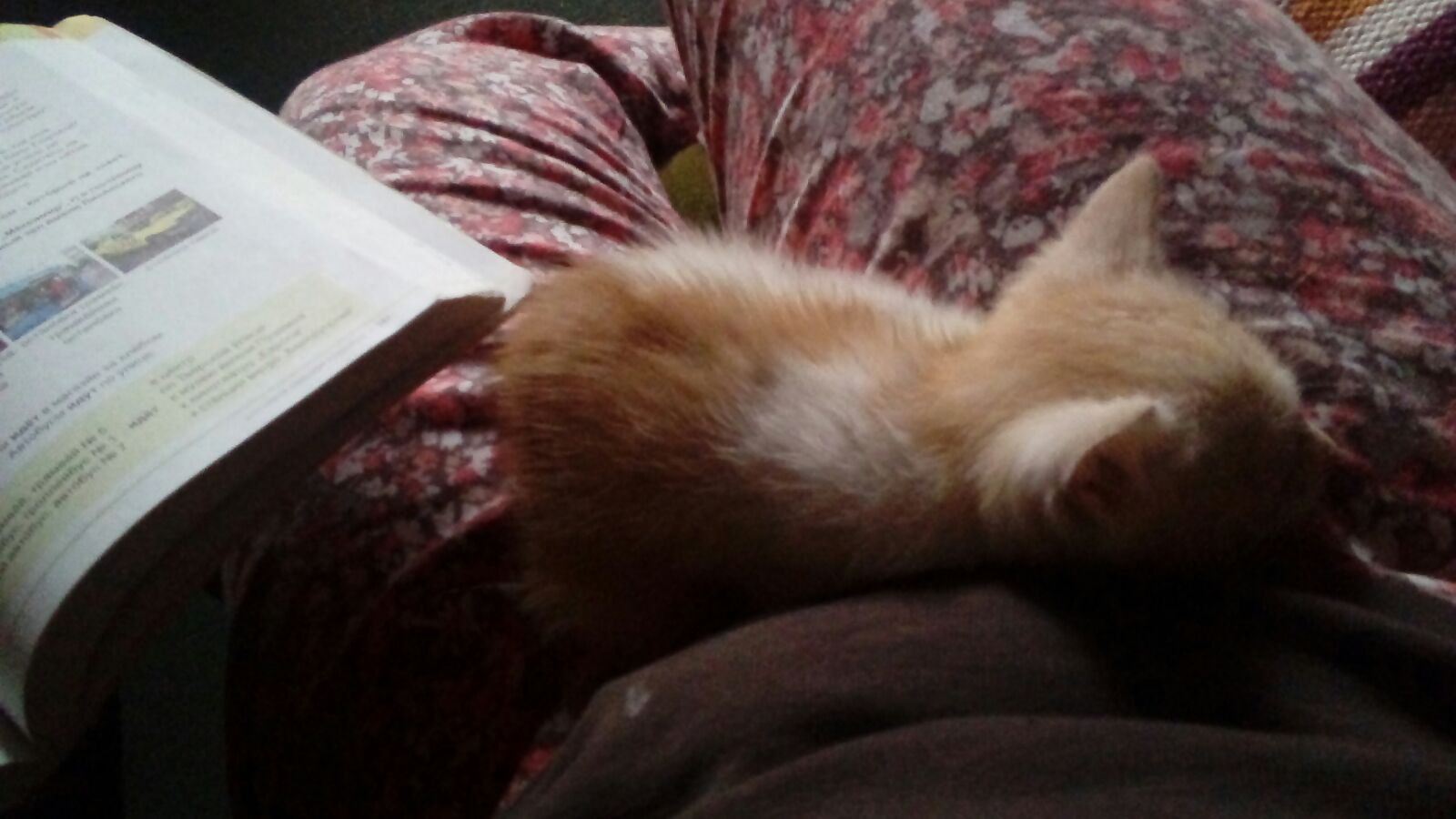 WhatsApp Image 2018-01-22 at 20.28.53.jpeg