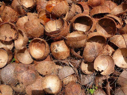 coconut-shell.jpg