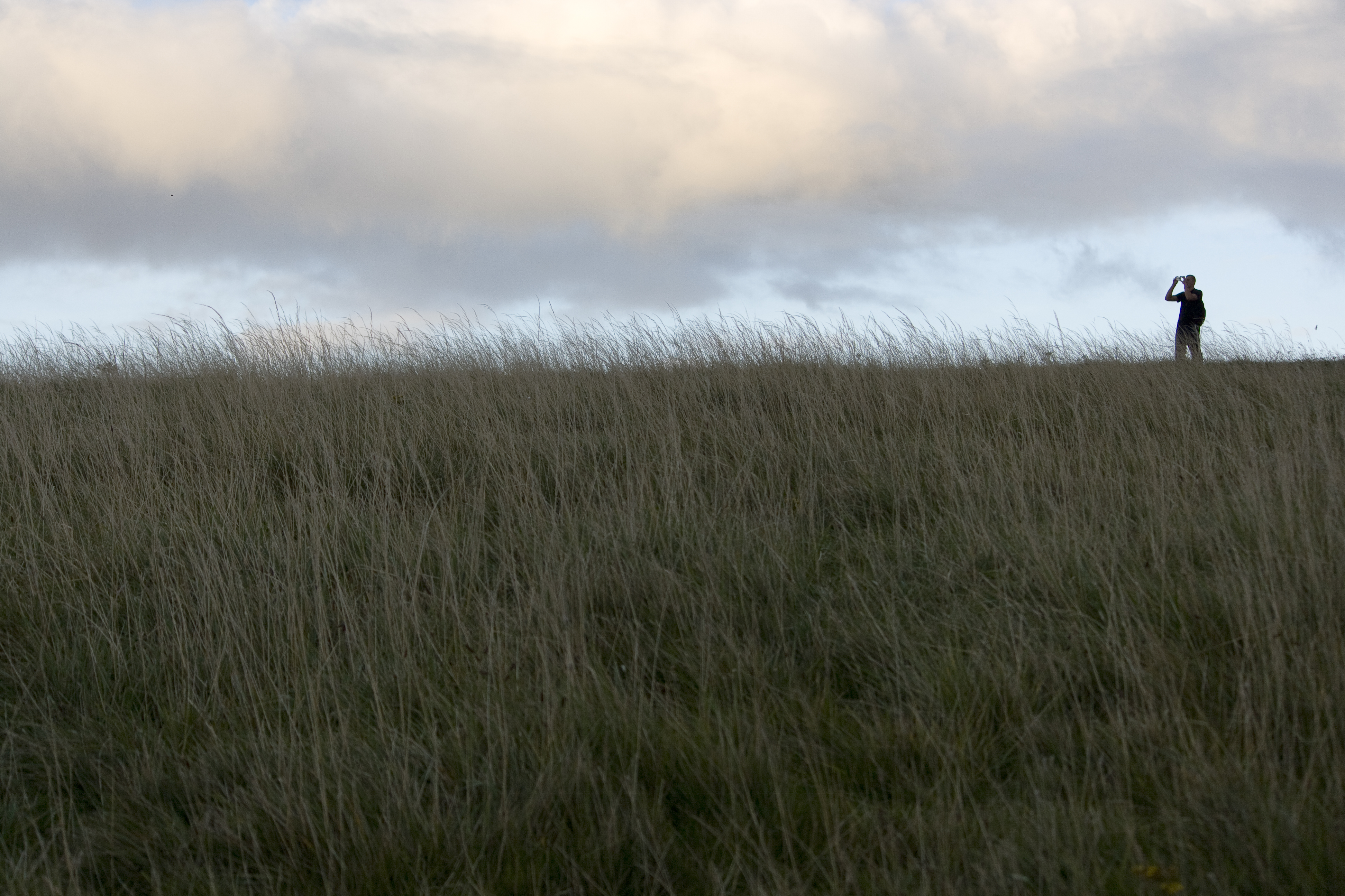 Stock images (3 of 10).jpg