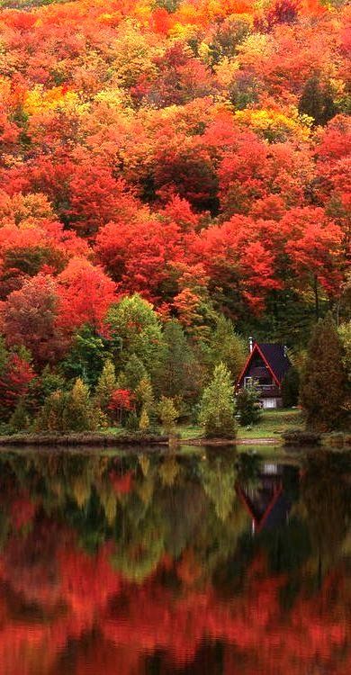 Autumn-Lake-Quebec-Canada.jpg