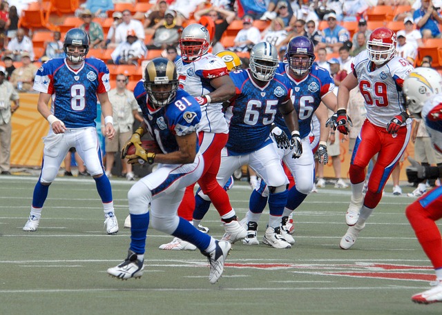 maxpixel.freegreatpicture.com-Professional-Pro-Bowl-Football-American-Nfl-622893.jpg