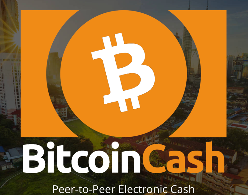 Bitcoin-Cash-BCH.png
