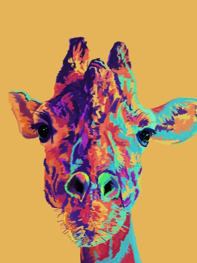 giraffe.jpg