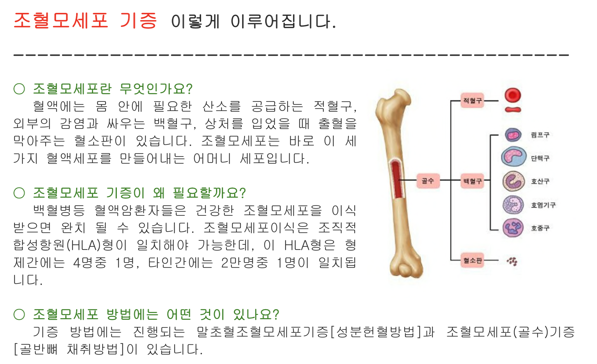 스크린샷 2018-05-18 오후 8.09.42.png