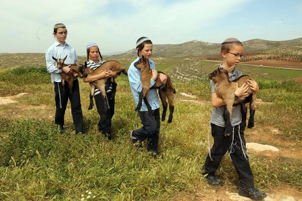 children-passover-sacrifice.jpg