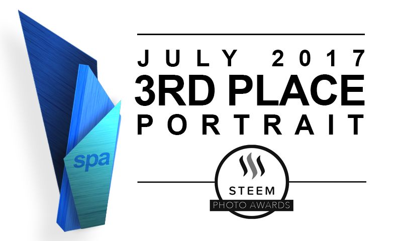 Steem Photo Awards - Third Place.jpg