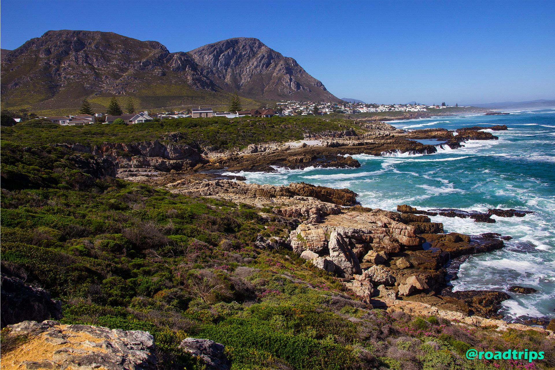 Cliff-path-at-Hermanus4.jpg