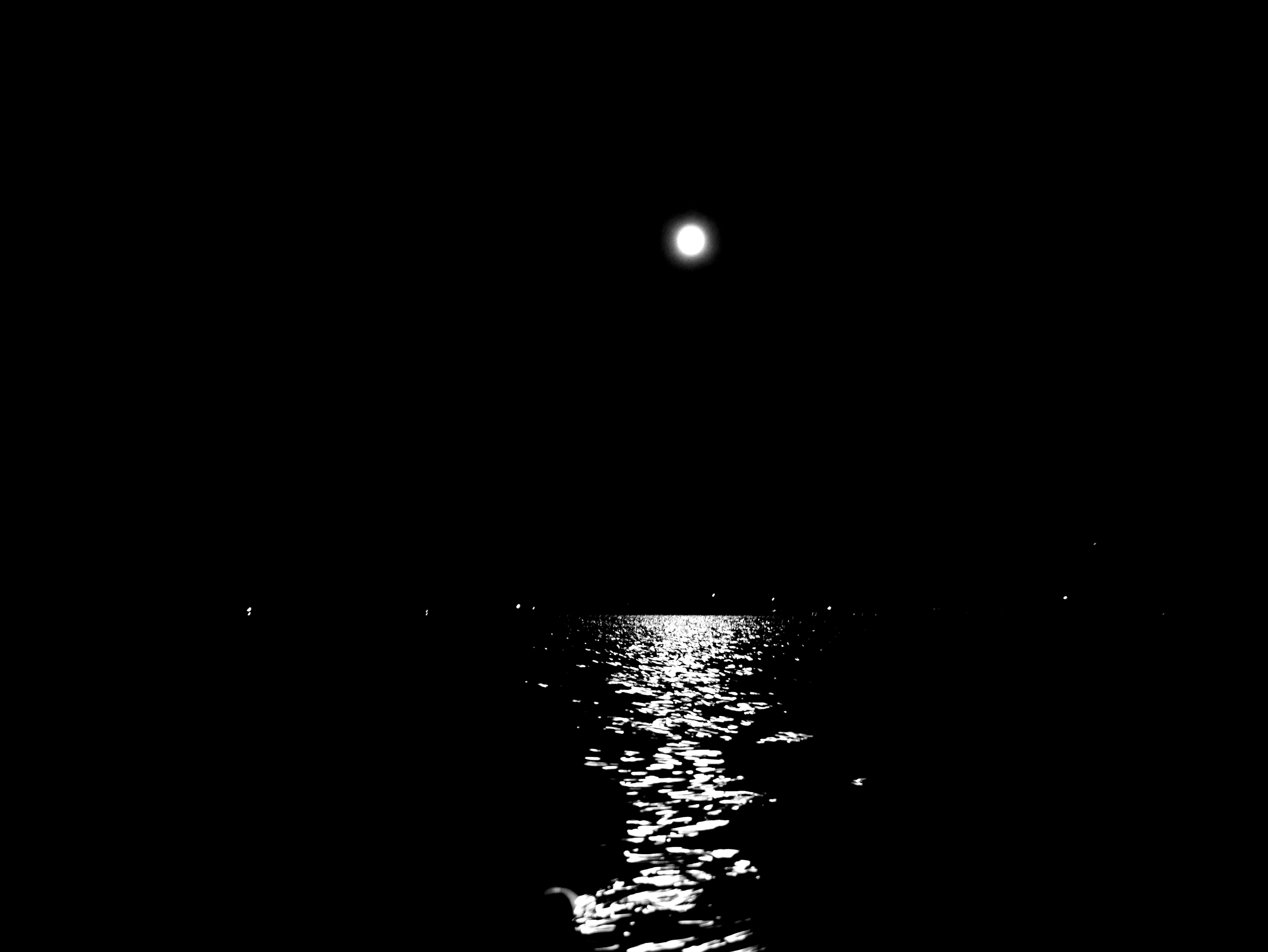 MOON_SHINE__MONO__GIMP__P1030572.JPG