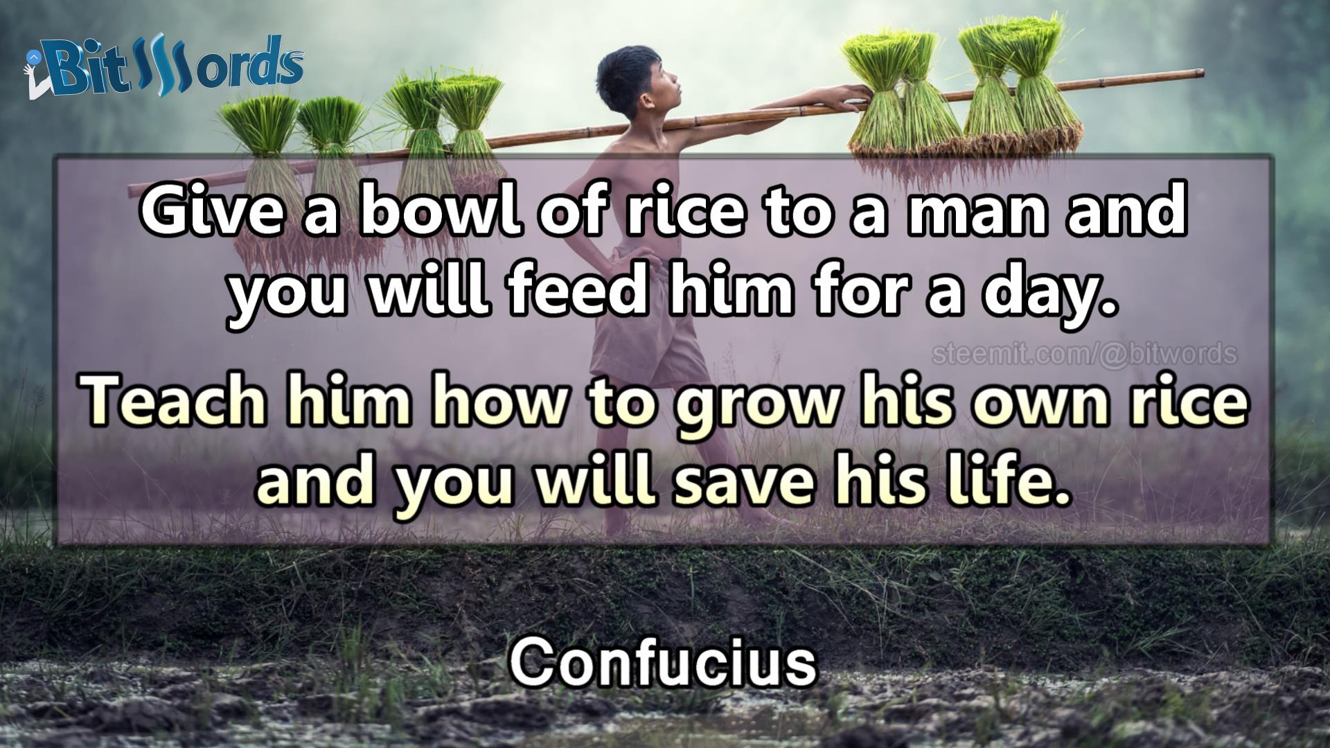 bitwords steemit quote of the day confucious give a bowl of rice to a man and you fill feed him for a da teach him to grow his own rice and you will save his life.jpg